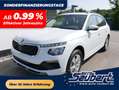 Skoda Kamiq Kamiq 1.0 TSI DSG Edition 130 Jahre *AHK*KAMERA*SH Weiß - thumbnail 1