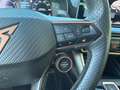 CUPRA Leon Leon Sportstourer 2.0 tdi 150cv dsg Grau - thumbnail 7