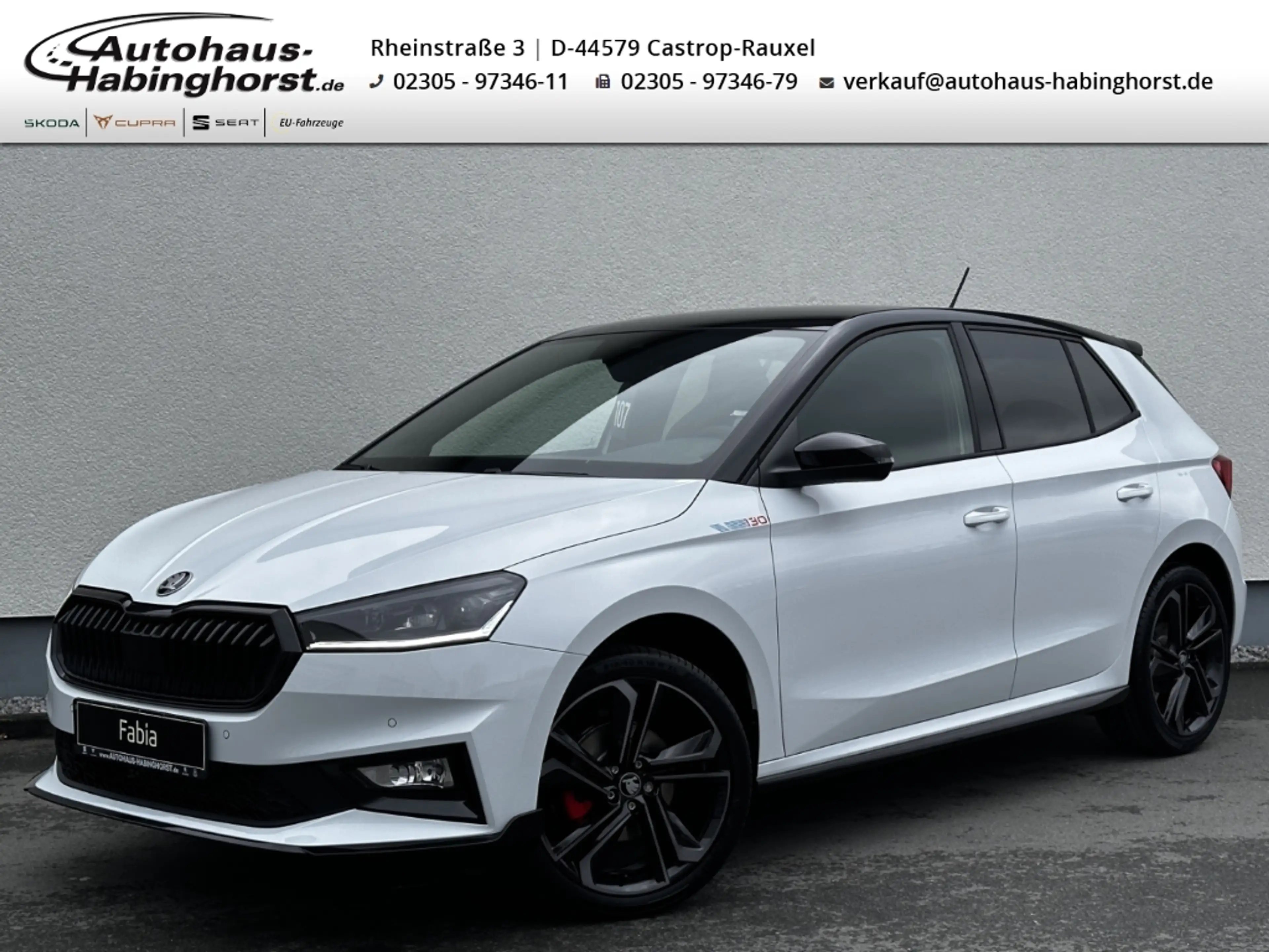 Skoda Fabia IV 1.5 TSI DSG 130 ACC LED Navi SmartLink SHZ Alu