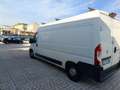 Fiat Ducato - thumbnail 4