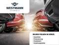 Ford Fiesta ST-Line/B&O/AUTO/ALU/KLIMA/SHZ/DAB/PDC/ Grau - thumbnail 1