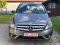 Mercedes-Benz B 200 CDI Automatik+Sportpaket+AHK+Abstandswarner Gris - thumbnail 5