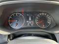Renault Arkana 1.3 TCe 140 ZEN Automatik Klima*Navi*PDC Grau - thumbnail 12