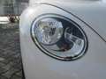 Volkswagen Maggiolino Maggiolino 2011 1.4 tsi Sport 160cv Bianco - thumbnail 13