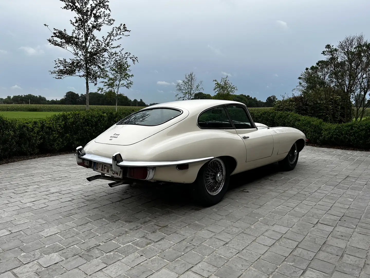Jaguar E-Type serie 2 Beige - 1
