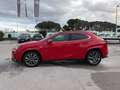 Lexus UX 300h UX 300h F-Sport Rouge - thumbnail 2