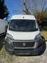Fiat Ducato MAXI L5 H2 Weiß - thumbnail 12