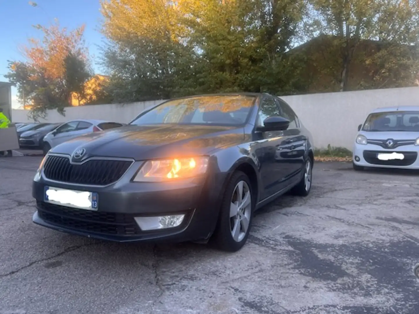 Skoda Octavia Octavia 2.0 TDI 150 ch CR FAP Green Tec DSG Style - 1
