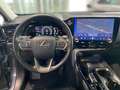 Lexus NX 450h+ E-FOUR Business KAMERA  NAVI Gris - thumbnail 11