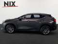 Lexus NX 450h+ E-FOUR Business KAMERA  NAVI Gris - thumbnail 6
