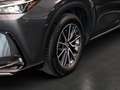 Lexus NX 450h+ E-FOUR Business KAMERA  NAVI Gris - thumbnail 8