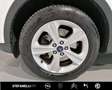 Ford Kuga 2.0 TDCI 120 CV S&S 2WD Titanium Alb - thumbnail 6