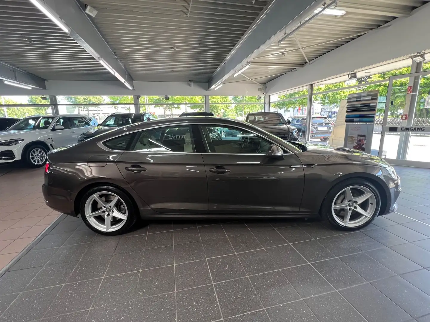 Audi A5 Sportback 50 TDI quattro sport Tour+B&O+HuD Brun - 2