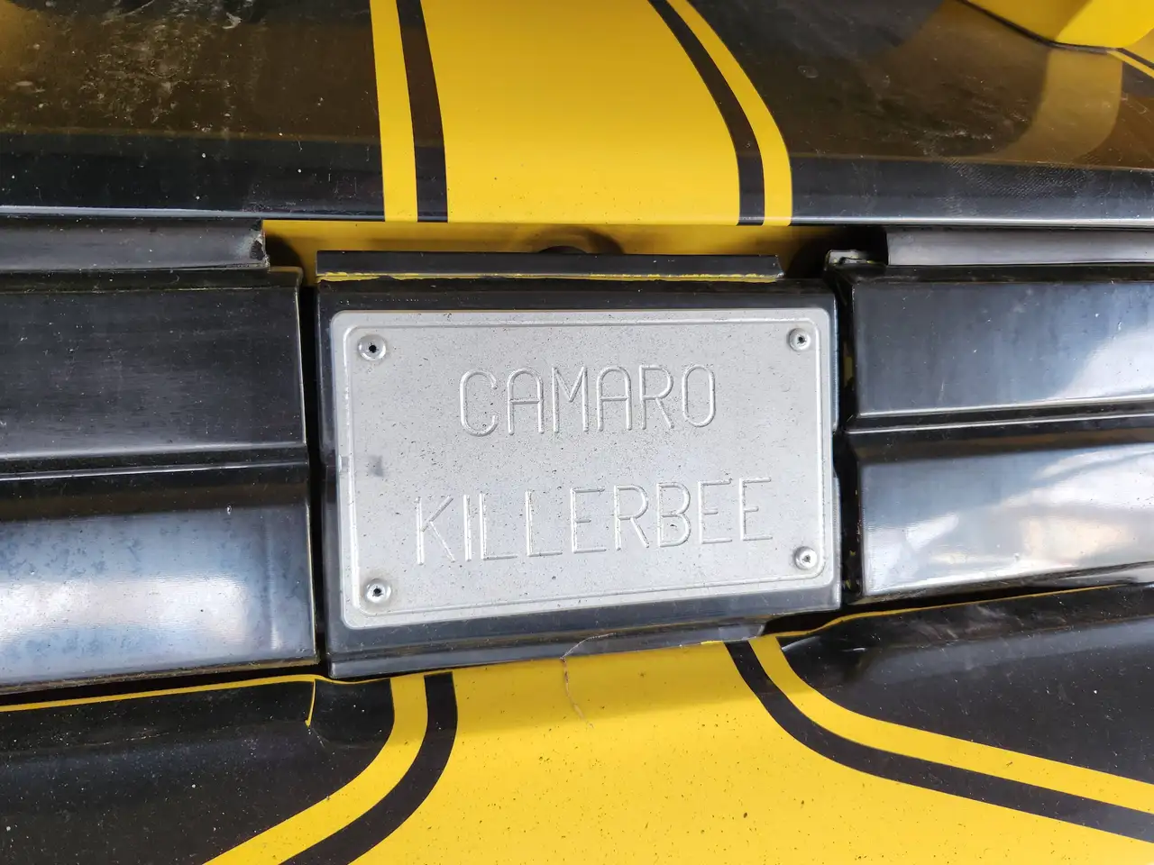 Chevrolet Camaro Berlinetta 1980 5.7 V8 KILLERBEE – Mark Ryan gesigneerd, foto 9