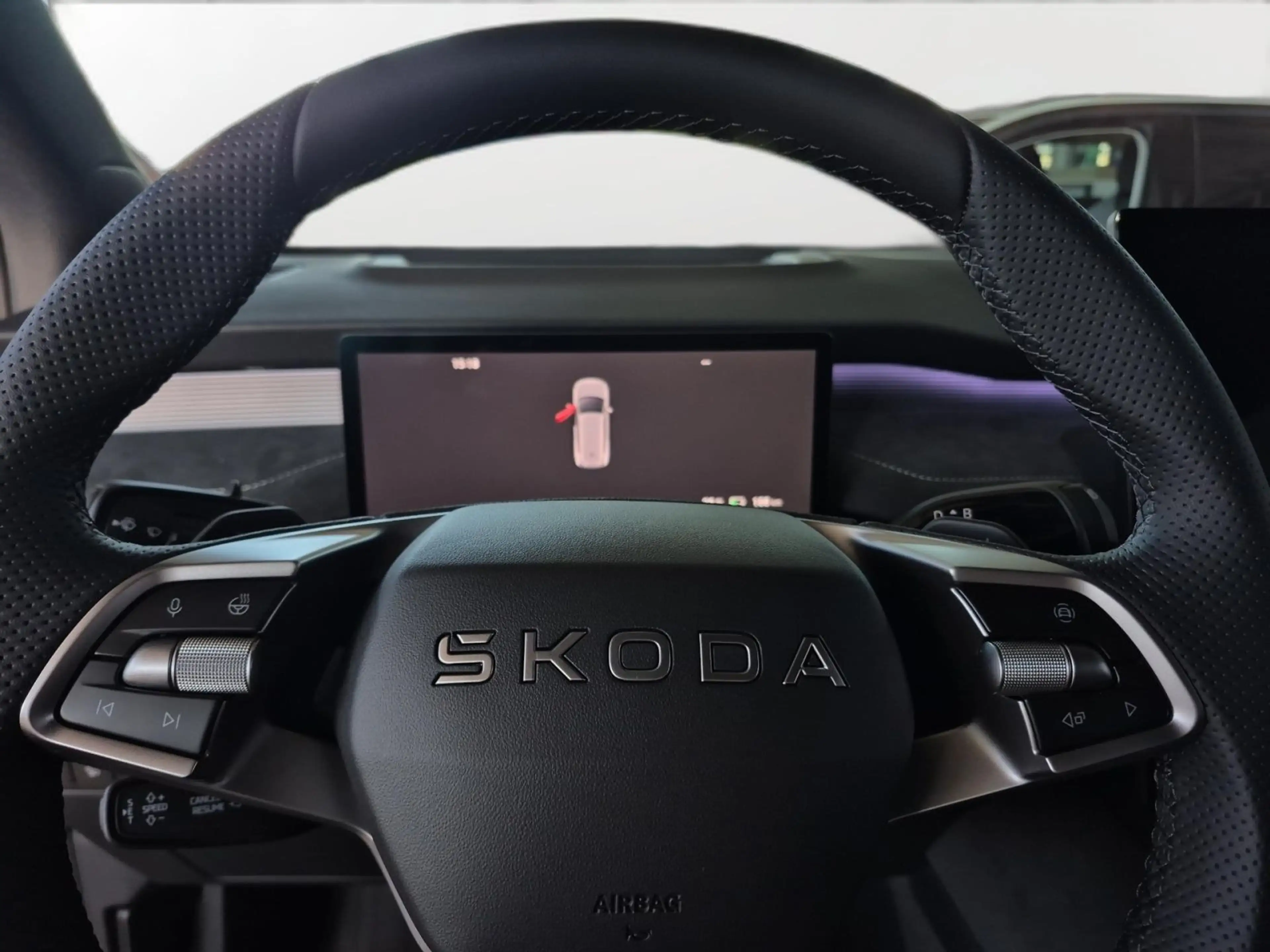 Skoda Peaq Sportline 90x | 220 kW 1-Gang-Automatik 4x4 — photo 11