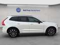 Volvo XC60 XC60 B4 AWD Plus-Dark Aut Leder Voll-LED Google-Ma Weiß - thumbnail 5