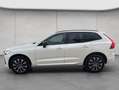 Volvo XC60 XC60 B4 AWD Plus-Dark Aut Leder Voll-LED Google-Ma Weiß - thumbnail 2