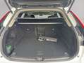 Volvo XC60 XC60 B4 AWD Plus-Dark Aut Leder Voll-LED Google-Ma Weiß - thumbnail 4