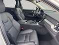 Volvo XC60 XC60 B4 AWD Plus-Dark Aut Leder Voll-LED Google-Ma Weiß - thumbnail 13