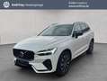Volvo XC60 XC60 B4 AWD Plus-Dark Aut Leder Voll-LED Google-Ma Weiß - thumbnail 1