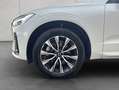 Volvo XC60 XC60 B4 AWD Plus-Dark Aut Leder Voll-LED Google-Ma Weiß - thumbnail 16