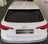 Audi A4 40 TDI sport*360*MATRIX*B&O*MASSAGE*ACC*TOTW*AMBI* Weiß - thumbnail 7