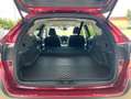 Subaru OUTBACK 2.5i Platinum*LED*DAB+*ACC Rosso - thumbnail 8