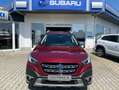 Subaru OUTBACK 2.5i Platinum*LED*DAB+*ACC Rosso - thumbnail 6