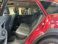 Subaru OUTBACK 2.5i Platinum*LED*DAB+*ACC Rosso - thumbnail 10