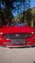 Ford Mustang 5,0 Ti-VCT V8 GT Cabrio Aut. - thumbnail 8