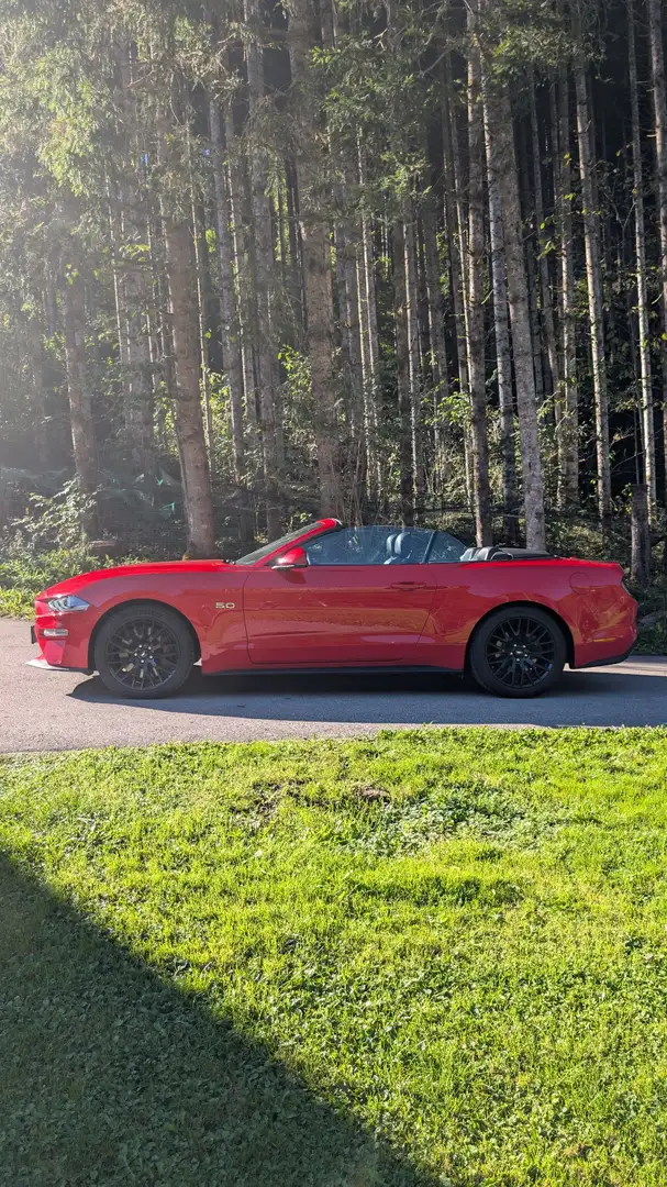 Ford Mustang 5,0 Ti-VCT V8 GT Cabrio Aut. - 2