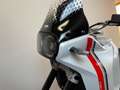 Ducati DesertX Tva Récupérable + RK Approved Wit - thumbnail 10