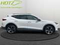 CUPRA Formentor 1.5 TSI Navi/AHK/Klima/PDC Bianco - thumbnail 7