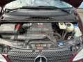 Mercedes-Benz Vito Vito 120 CDI Kompakt DPF Aut. Rot - thumbnail 26