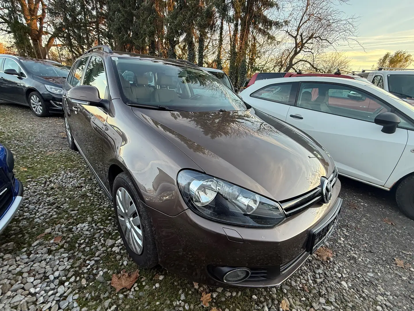 Volkswagen Golf Variant Trendline 4Motion Bruin - 2