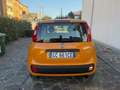 Fiat Panda Panda III 1.2 Easy easypower Gpl 69cv Promo Arancione - thumbnail 9