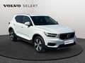 Volvo XC40 T3 Momentum / Essence Weiß - thumbnail 8