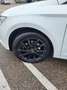 SEAT Leon Leon ST Business 1,6 TDI CR Business Weiß - thumbnail 6