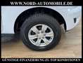 Ford Ranger 2.0 EB Panther XLT Doppelkabine 4x4*AHK* Weiß - thumbnail 12