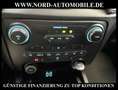 Ford Ranger 2.0 EB Panther XLT Doppelkabine 4x4*AHK* Blanco - thumbnail 24