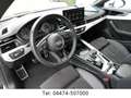 Audi S5 Sportback 3.0 TDI quattro Matrix Head-Up Grigio - thumbnail 12