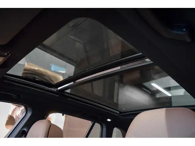 BMW X5 X5 view 21