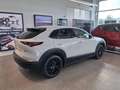 Mazda CX-30 2.0L e-Skyactiv-G 150 CV M Hybrid 2WD Nagisa Bianco - thumbnail 4