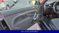 Volkswagen Beetle Lim. Basis-Alus-Pdc-Zahnriemen Neu Insp Noir - thumbnail 9