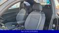 Volkswagen Beetle Lim. Basis-Alus-Pdc-Zahnriemen Neu Insp Noir - thumbnail 18