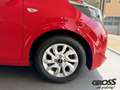 Kia Picanto Dream Team 1.0 EU6d Navi Apple CarPlay Android Aut Rot - thumbnail 9