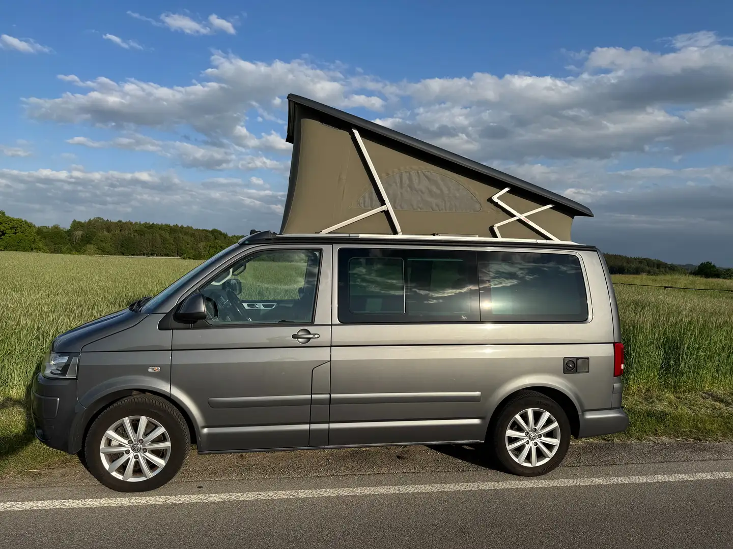 Volkswagen T5 California 4 Motion Gris - 1