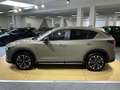 Mazda CX-5 Newground *Matrix*360Grad*Lenkradheiz* Grün - thumbnail 5