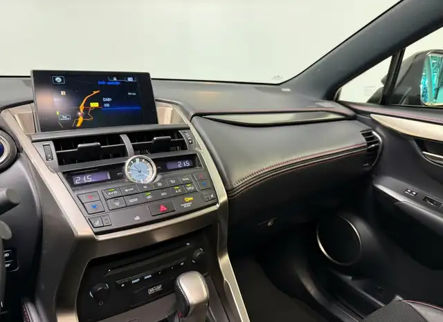 Lexus NX view 12