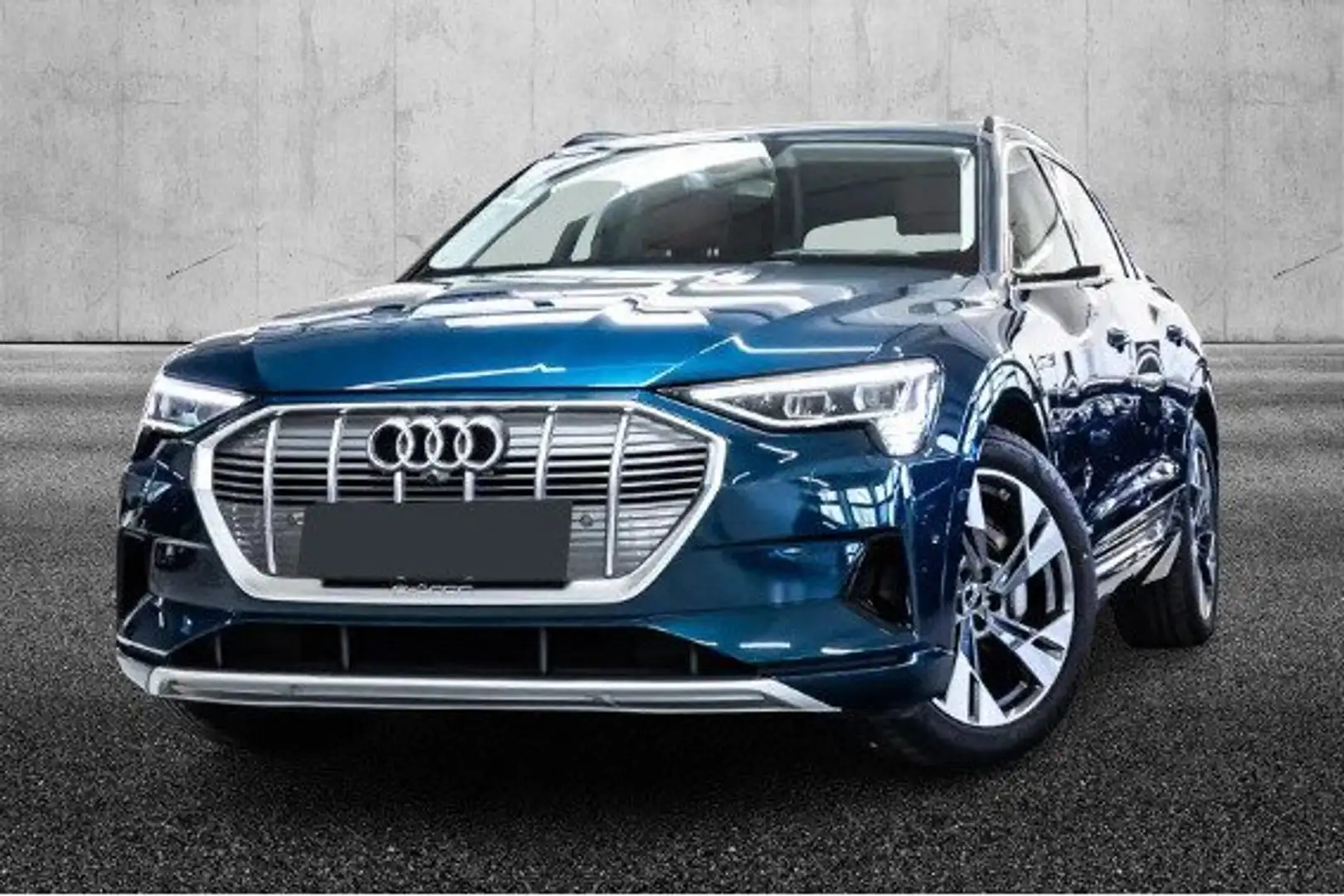 Audi e-tron 55 quattro Business Blu/Azzurro - 1